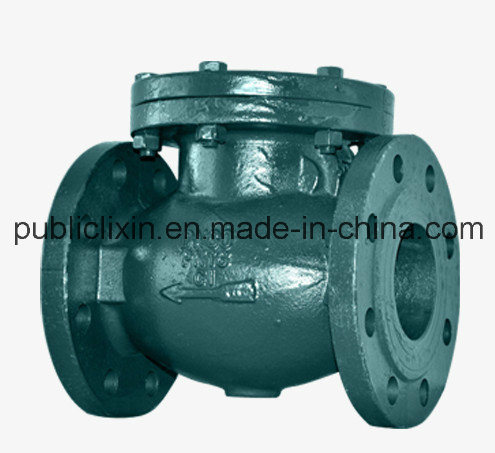 Dn 150 Cast Iron Flange Swing Check Valve