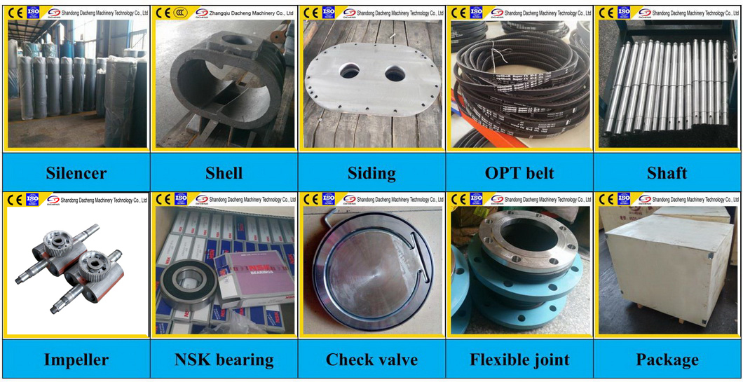 Ds-L Large Capacity Twin Lobe Air Roots Blower for Pneumatic Conveying with Ce and ISO9001