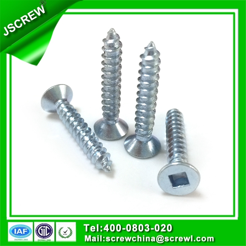 Competitive Prices Stainless Steel M3 Wood Screw