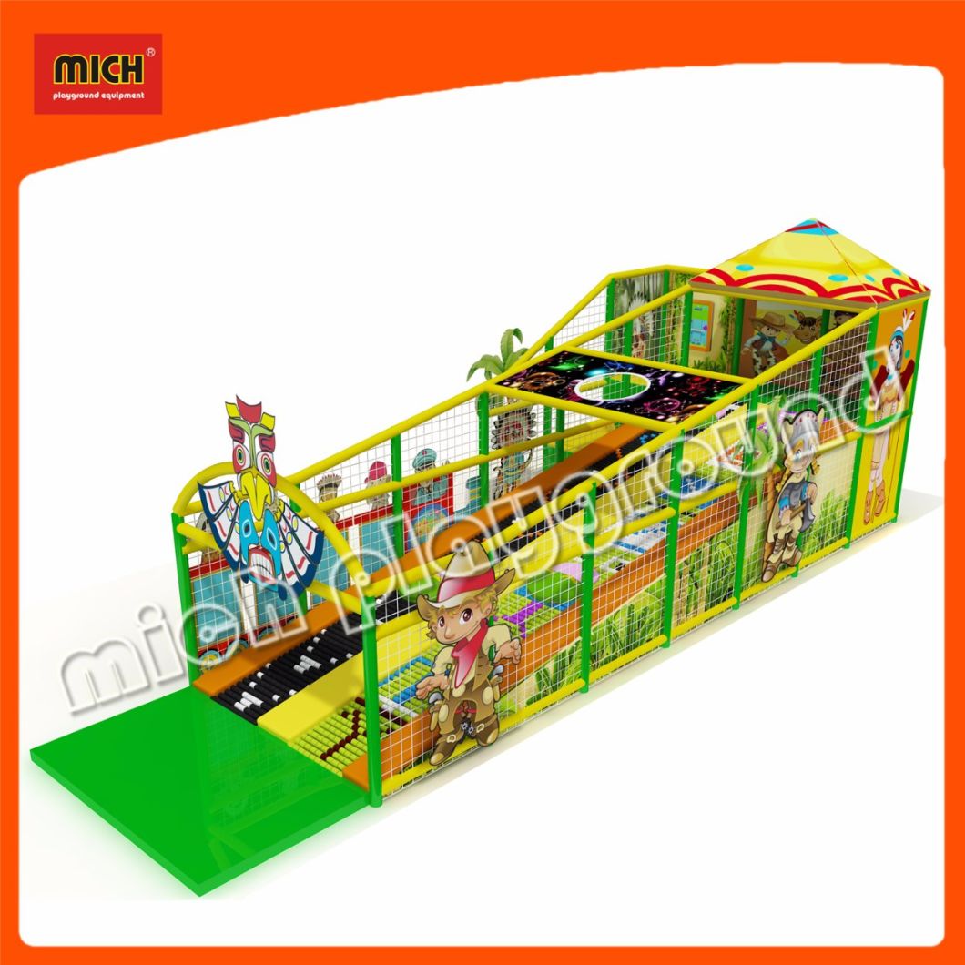 Customized Indoor Roller Slide for Idoor Play Area