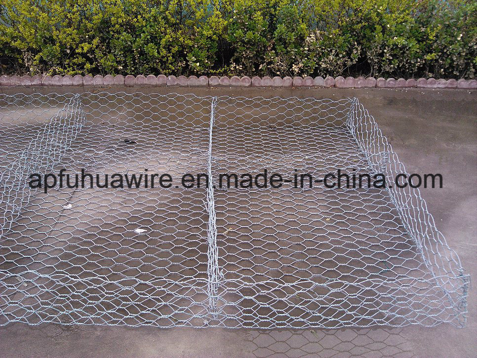 ISO 9001: 2008 Manufacturer Hot-DIP Galvanized Gabion Box