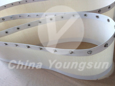 Fusing Machine Belt /Conveyor Belt /Industrial Belt