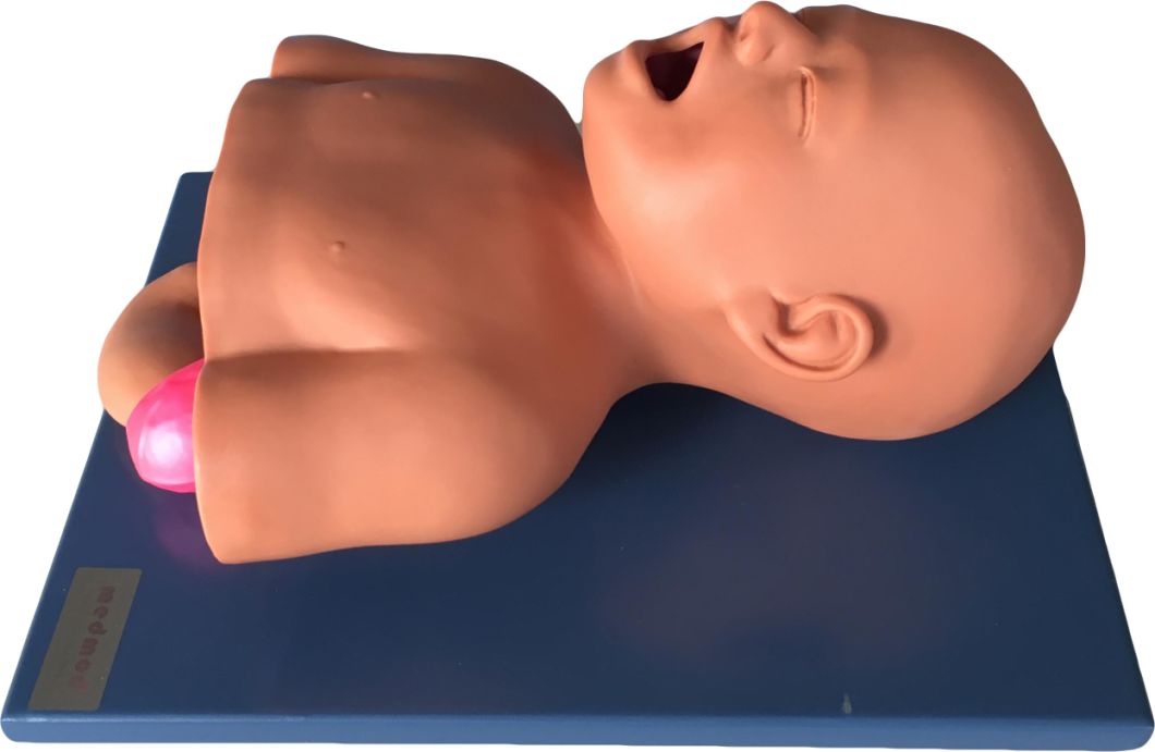 Xy-J-002 Infant Tracheal Intubation Model