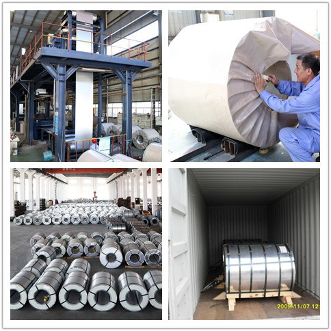 ISO Standard Galvanized Steel Coils