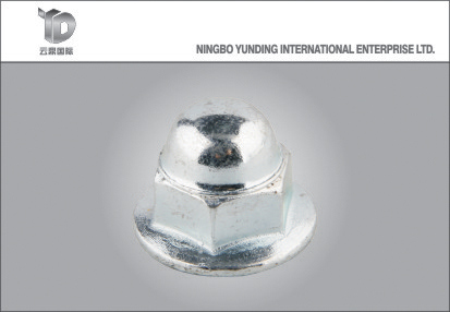 China Hex Flange Cap Nut Manufacturer High Quality