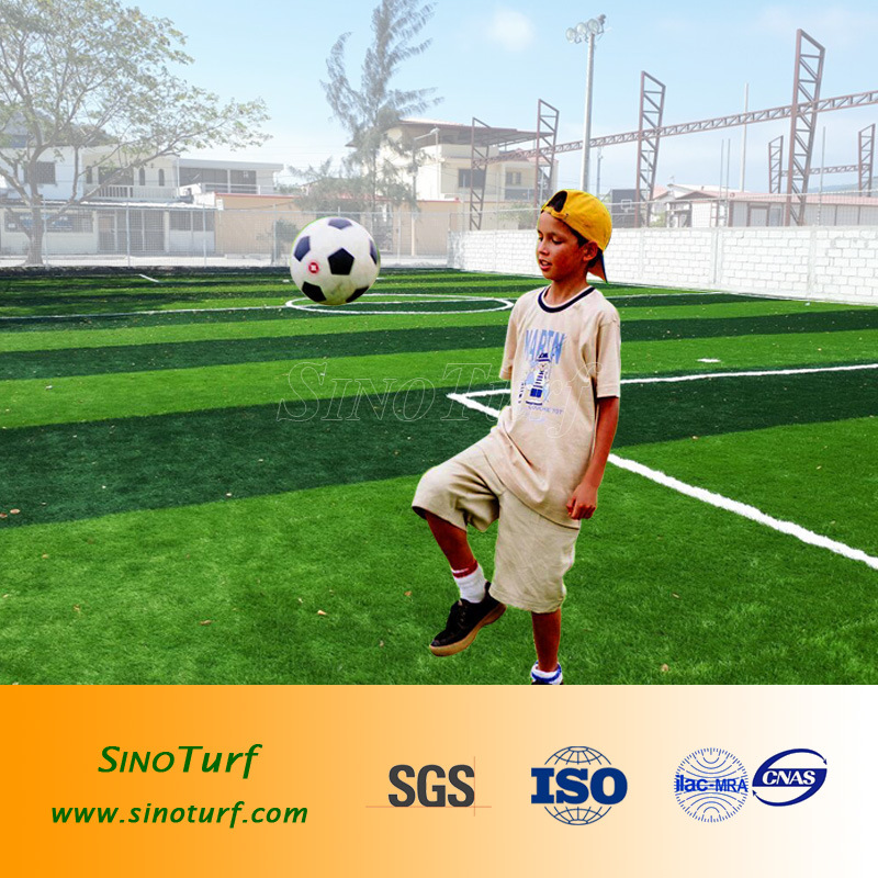 Artificial Grass, Synthetic Turf, Fake Grass for Soccer, Football, Sports with SGS Certified