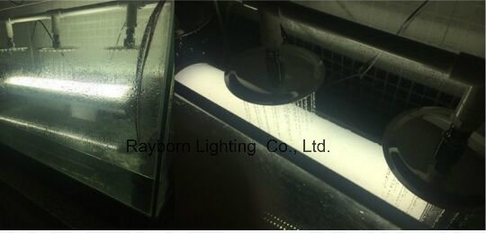 Factory Sale IP65 1200mm 150W Transparent Exterior LED Linear Lighting