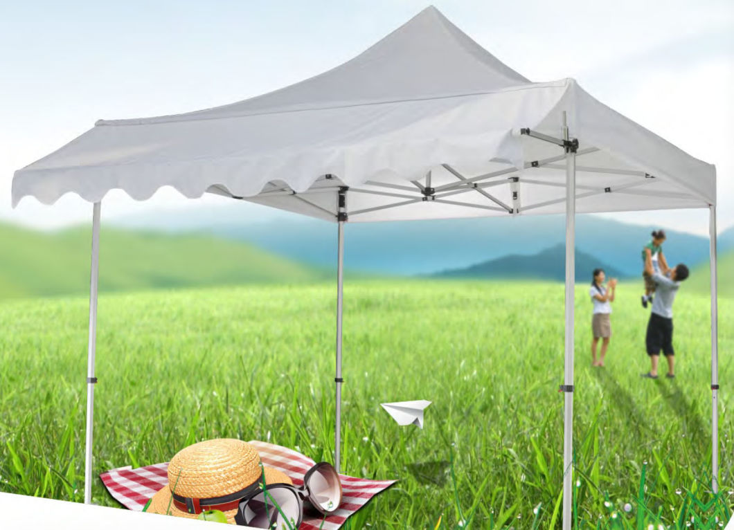 Custom Logo Heavy Duty Canopy Tent for Trade Show