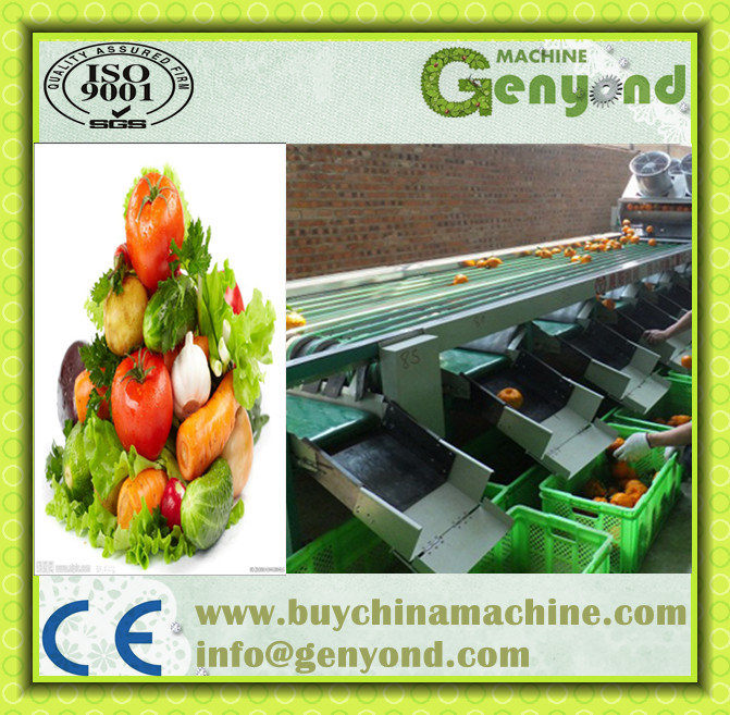 Orange Washing Waxing Sorting Machine Line