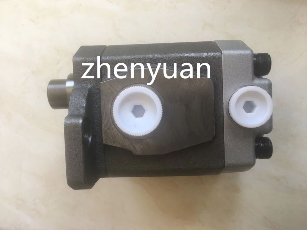 Gear Pump for Doosan 55/60 and Hyundai55/60