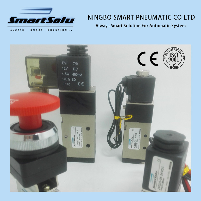 100% Tested High Quality Two Way Type Pneumatic Solenoid Valve