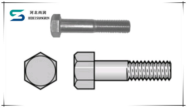 ANSI/ASTM/ASME Hex Head Cap Screw Hex Bolt with HDG