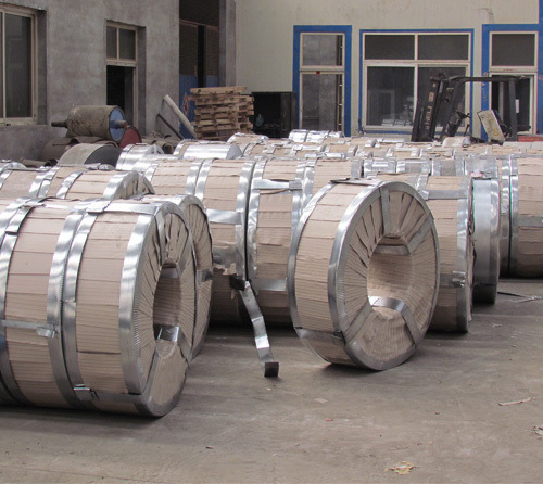 Dx51d Z40 Hot Dipped Galvanized Steel Strip in Coil for Making Pipe