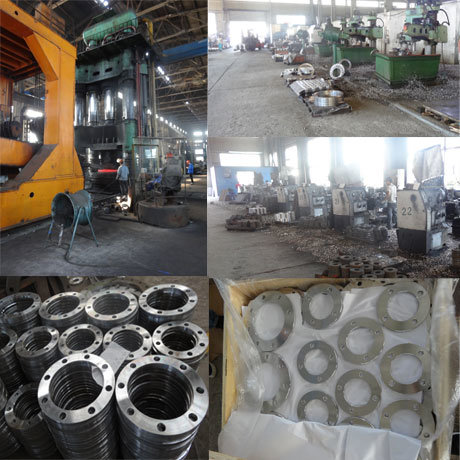 ANSI/DIN Forged Carbon/Stainless Steel Wn/Blind/So/Flat Flanges