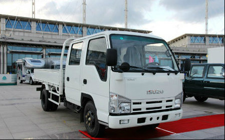 Isuzu 100p Single Row Light Cargo Truck