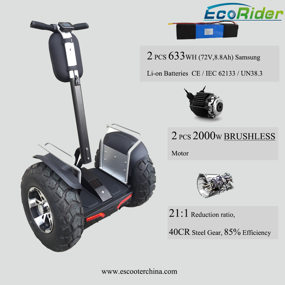 2018 Ecorider Hot Sale Lithium Battery E-Scooter Two Wheel Smart Balance Electric Golf Cart Scooter