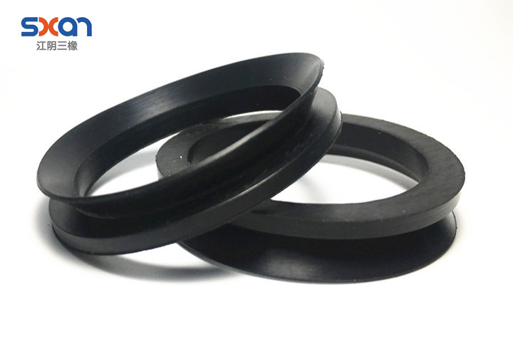 Rotary Valve and Water Pump Drive Oil Supply Oil Seal