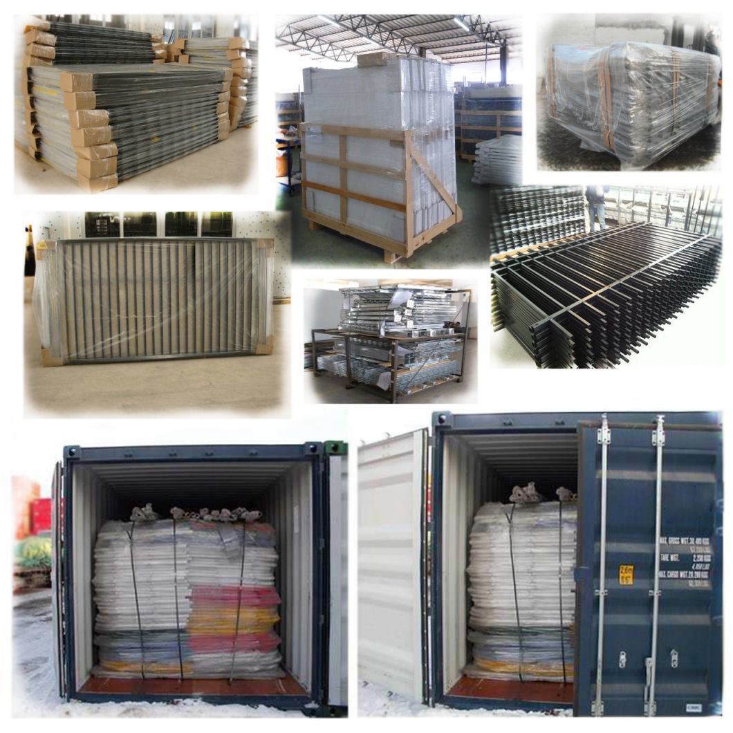 Ornamental Galvanized Steel/Aluminium Safety Fence for Bridge/River