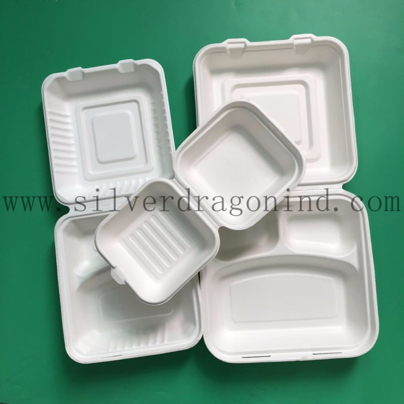 Unicolor Sugarcane Pulp Disposable Paper Tray (Food Grade)