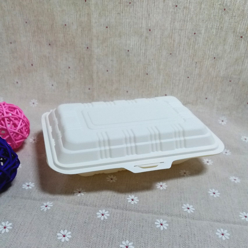 China Biodegradable Camping Food Packaging Box Disposable Fast Food Box