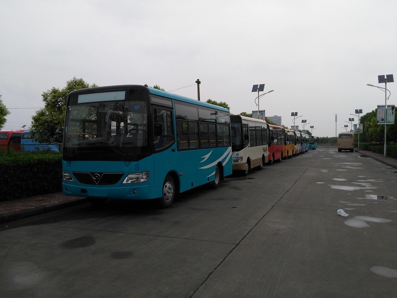 China High Quality 10-40 Seats School Bus