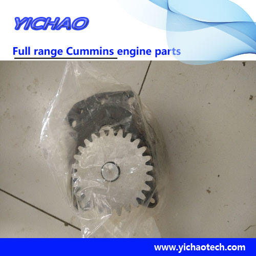 Cummins Water Filter Flywheel Wheel Housing Engine Spare Parts (NTA855/QSL8.9-C260)