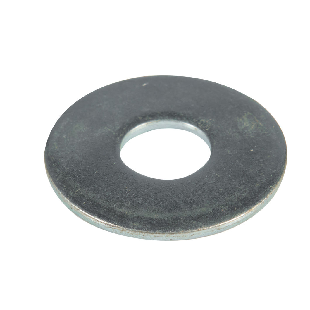 Stainless Steel Ss316 Ti Flat Washer