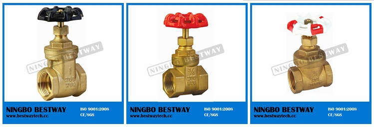 Cast Steel Brass Gate Valve