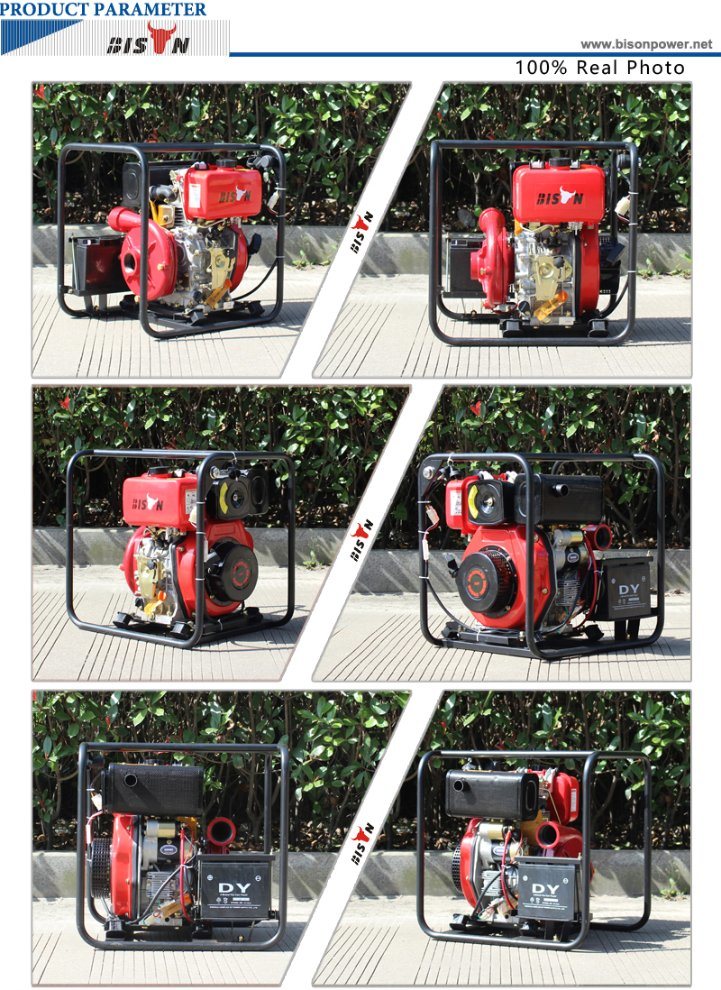 Bison (China) Bsdwp20I High Pump Lift Big Displacement High Pressure 7HP Water Pump Specifications