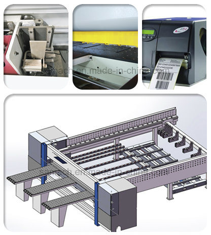 Ce Certificated CNC Panel Saw Table Saw Rcj3800A