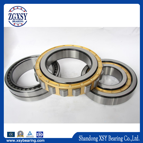 High Capacity Nylon Brass Steel Cage Cylindrical Roller Bearing