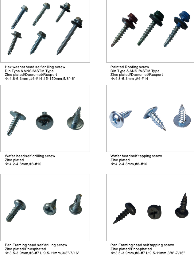 Good Quality Drywall Screw with Sharp / Tek Point