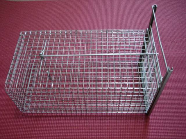 Humanistic Hunting Live Animal Trap Cages for Catching Rats/Mink/Rodent