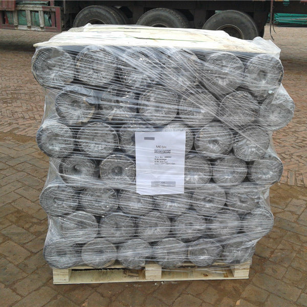 Hot Dipped Galvanized Hexagonal Wire Mesh for Poultry