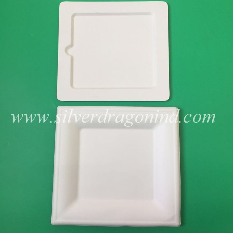 Disposable Compostable Square Paper Plate