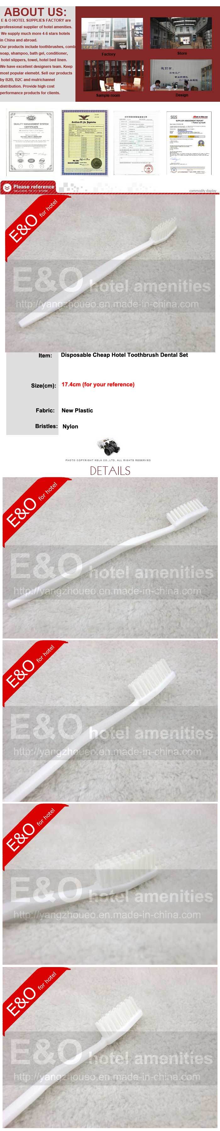 Disposable Cheap Hotel Toothbrush and Toothpaste Dental Set