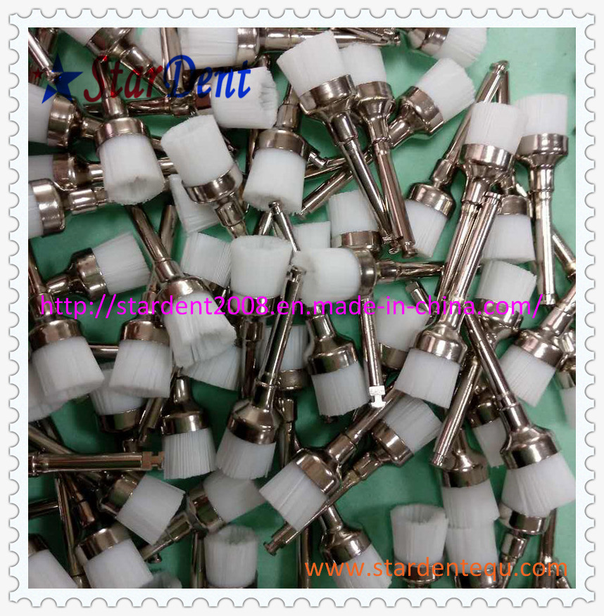 Disposable Prophy Brushes Factory of Dental Hospital Medical Lab Surgical Diagnostic Equipment