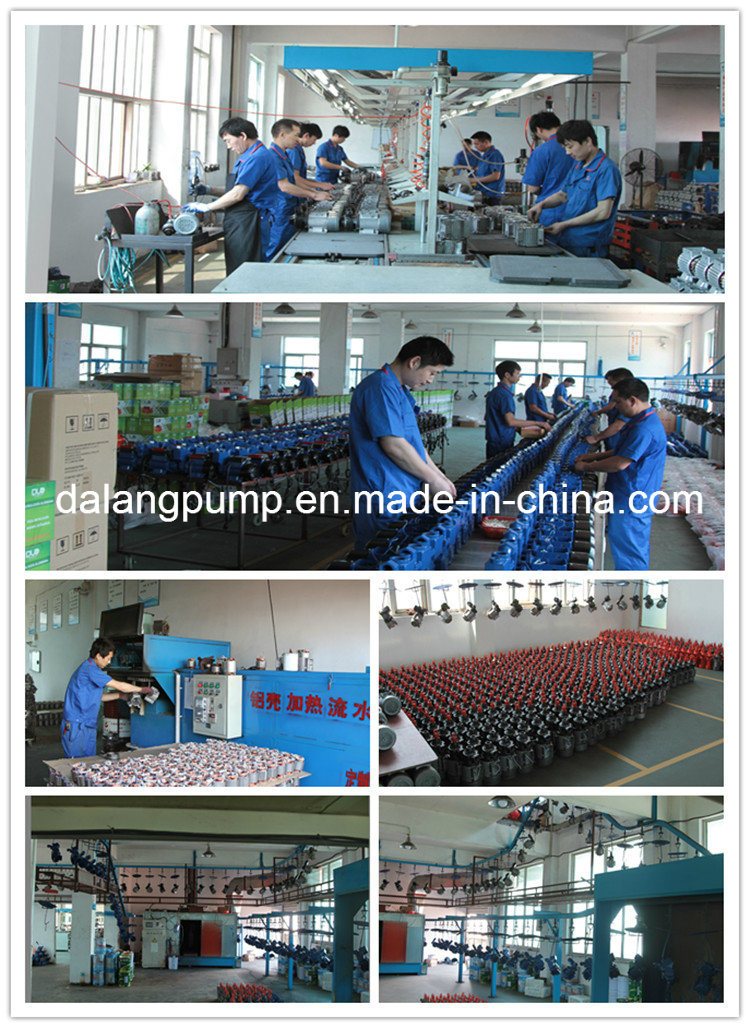 0.5HP/1HP High Quality Vortex Water Pump Manufacturer in China