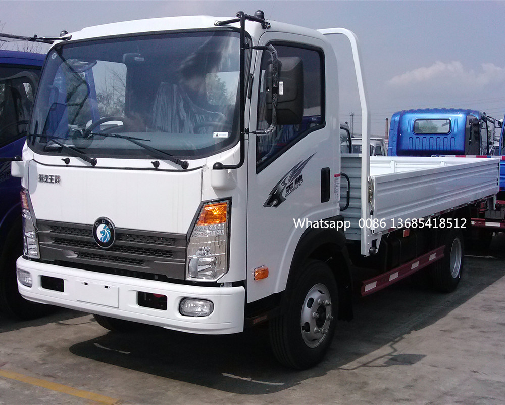 China Mini Pickup Truck Light Cargo Truck for Sale