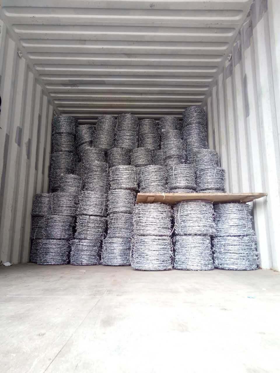 PVC Coated/ Galvanized Safety Barbed Wire