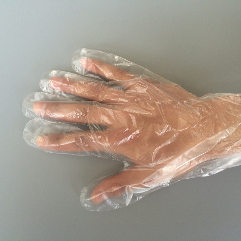Poly Gloves - Polyethylene Embossed Disposable Glove Food Grade
