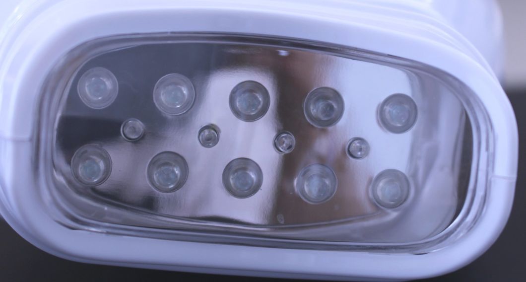 Dental Equipment 14 LED System Lamp Tooth Bleaching Accelorator Teeth Whitening Machine Light