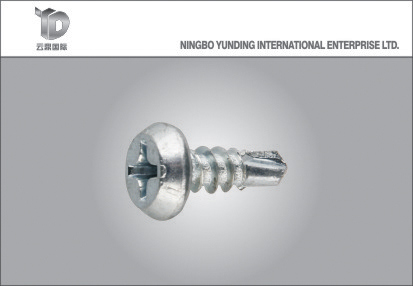 China Hot Sale Self Tapping Screw with Good Quality
