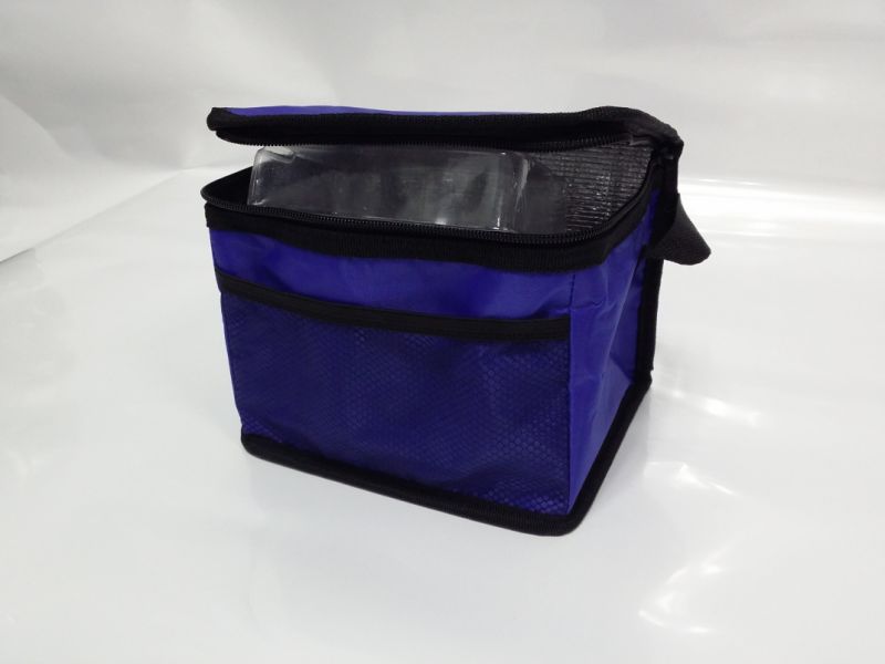 Light-Weigh Lunch Bag Cooler Box