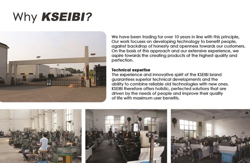 Kseibi Convenient and Popular Blower Kbl 500e