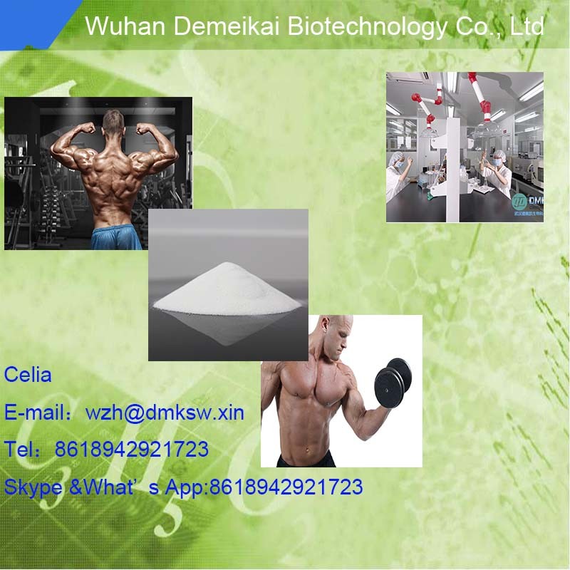 HPLC 99.5% Purity Yk11 Powder Wholesale Factory Direct Price CAS: 431579-34-9