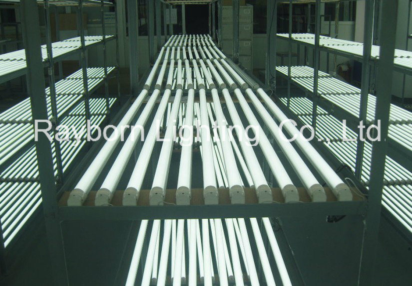 Tube Lights Item Type and T5 T8 LED Tube Light