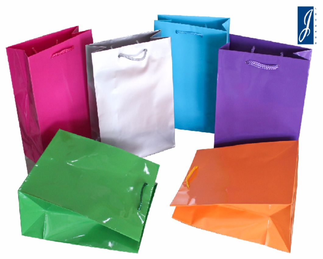 Cosmetic Luxury Hand Paper Shopping Packaging Bag for Packing Promotional and Gift