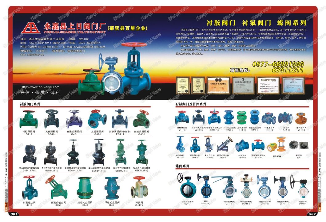 Swing Cast Iron Flanged Ends Rubber Lined Check Valve