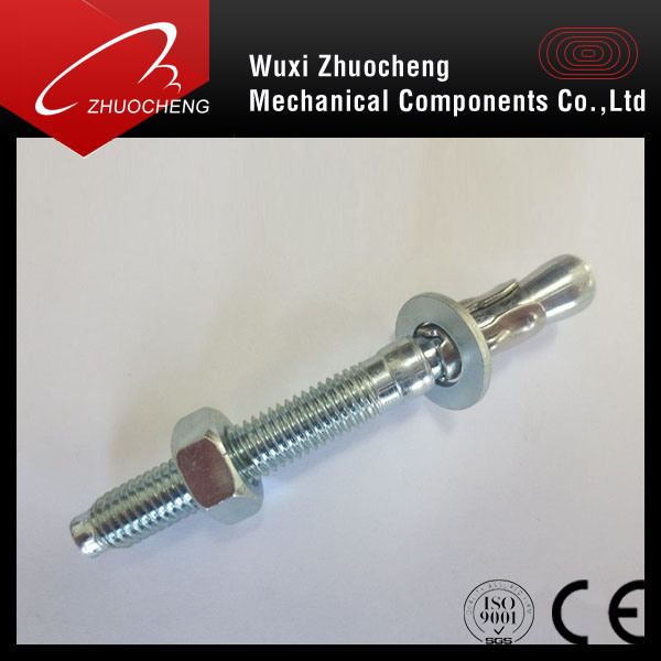 Stainless Steel Wedge Anchor or Through Bolt with Nut and Washer